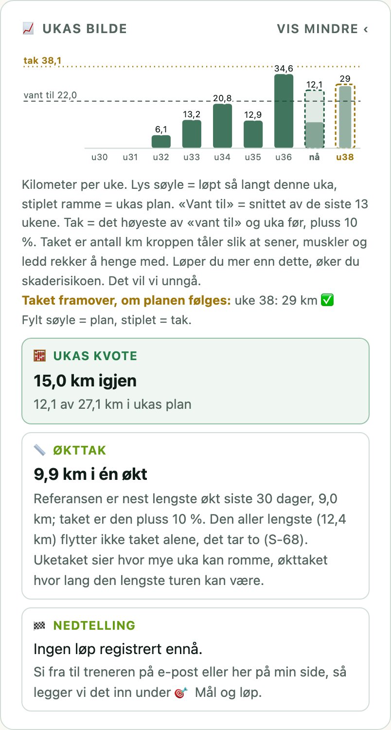 Ukas bilde: åtte ukesvolum som søyler med taket tegnet inn, ukas kvote og øktak